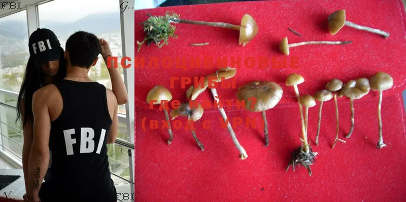 Галлюциногенные грибы Psilocybe  кракен как войти  это состав  купить закладку  Белозерск 